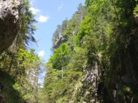 /album/fotogaleria-uvod1/a17072011426-jpg/