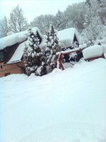 /album/okolie-chalupy/snimka0427-jpg/