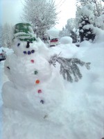 /album/okolie-chalupy/snimka0445-jpg/