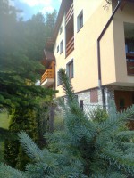 /album/okolie-chalupy/snimka0865-jpg/