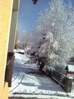 /album/okolie-chalupy/snimka1307-jpg/