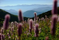 /album/fotogaleria-uvod1/chleb2-jpg/