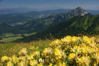 /album/fotogaleria-uvod1/krivan1-jpg/