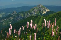 /album/fotogaleria-uvod1/krivan3-jpg/