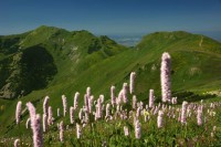 /album/fotogaleria-uvod1/krivan4-jpg/