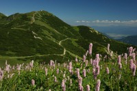 /album/fotogaleria-uvod1/krivan5-jpg/